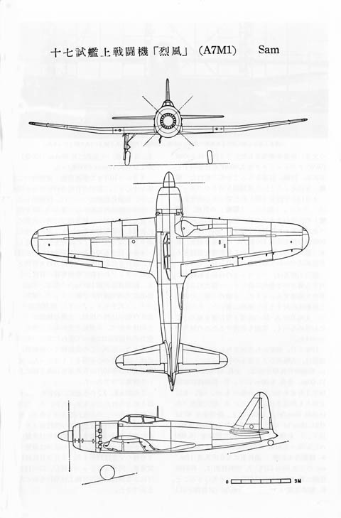 A7M_1.jpg