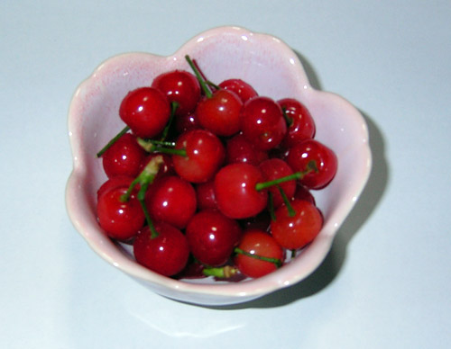 Cherry100508.jpg