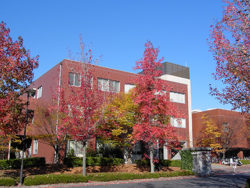 HU081113a.jpg