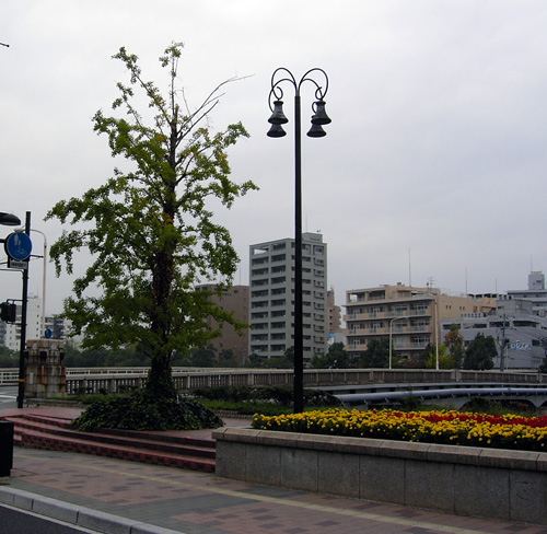 Hijiyamabashi081014.jpg