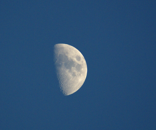 Luna100916.jpg