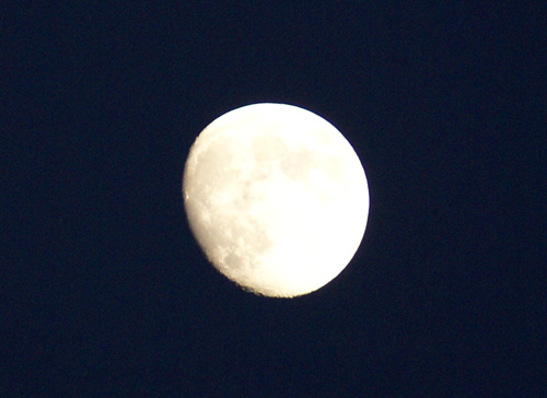 Luna100920.jpg