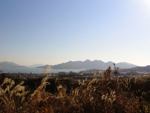 Miyajima20071226.jpg