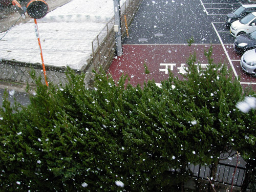 Snow20071231.jpg