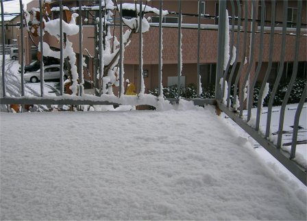 Snow.jpg