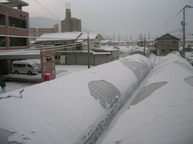 Snow1.jpg