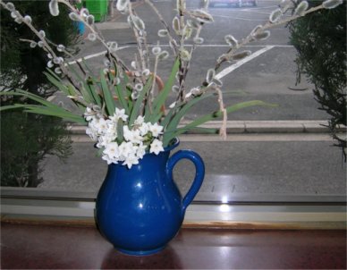 daffodil1.jpg
