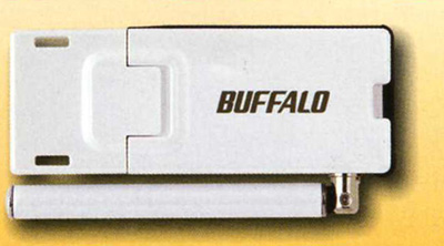 buffalo_1.jpg