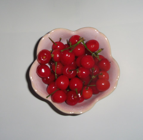 cherry140505.jpg