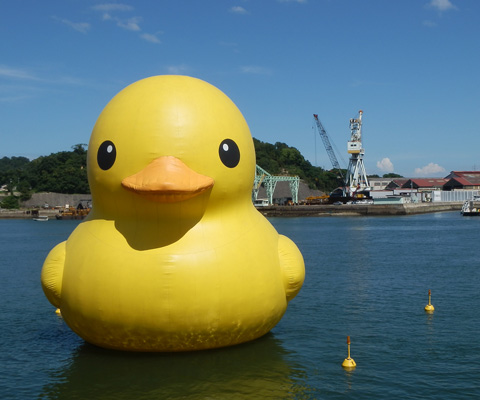 rubber_duck_1.jpg