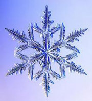 snow_crystal_1.jpg
