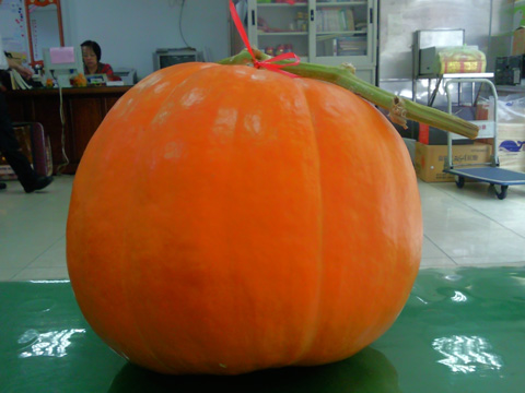 pumpkin120703_1.jpg